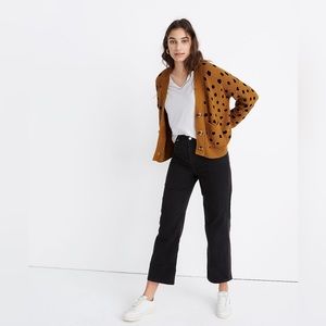Madewell Hillview Cardigan Sweater in Painted Spots